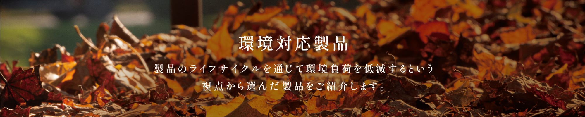 Photo23_SUSMA_20241218_midashi-3